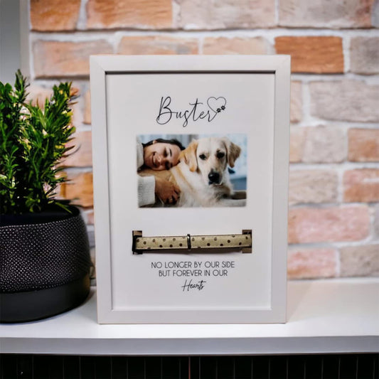 Pet Collar Memorial Framed Print