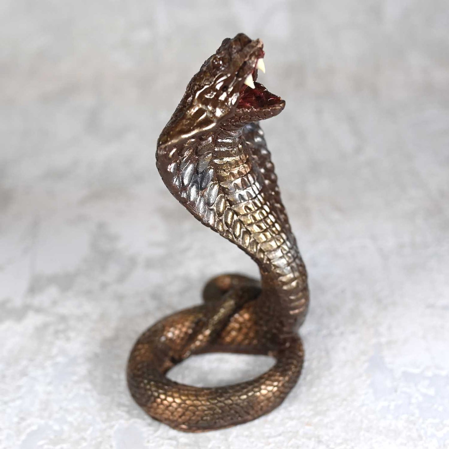 Snake Handmade Chocolate