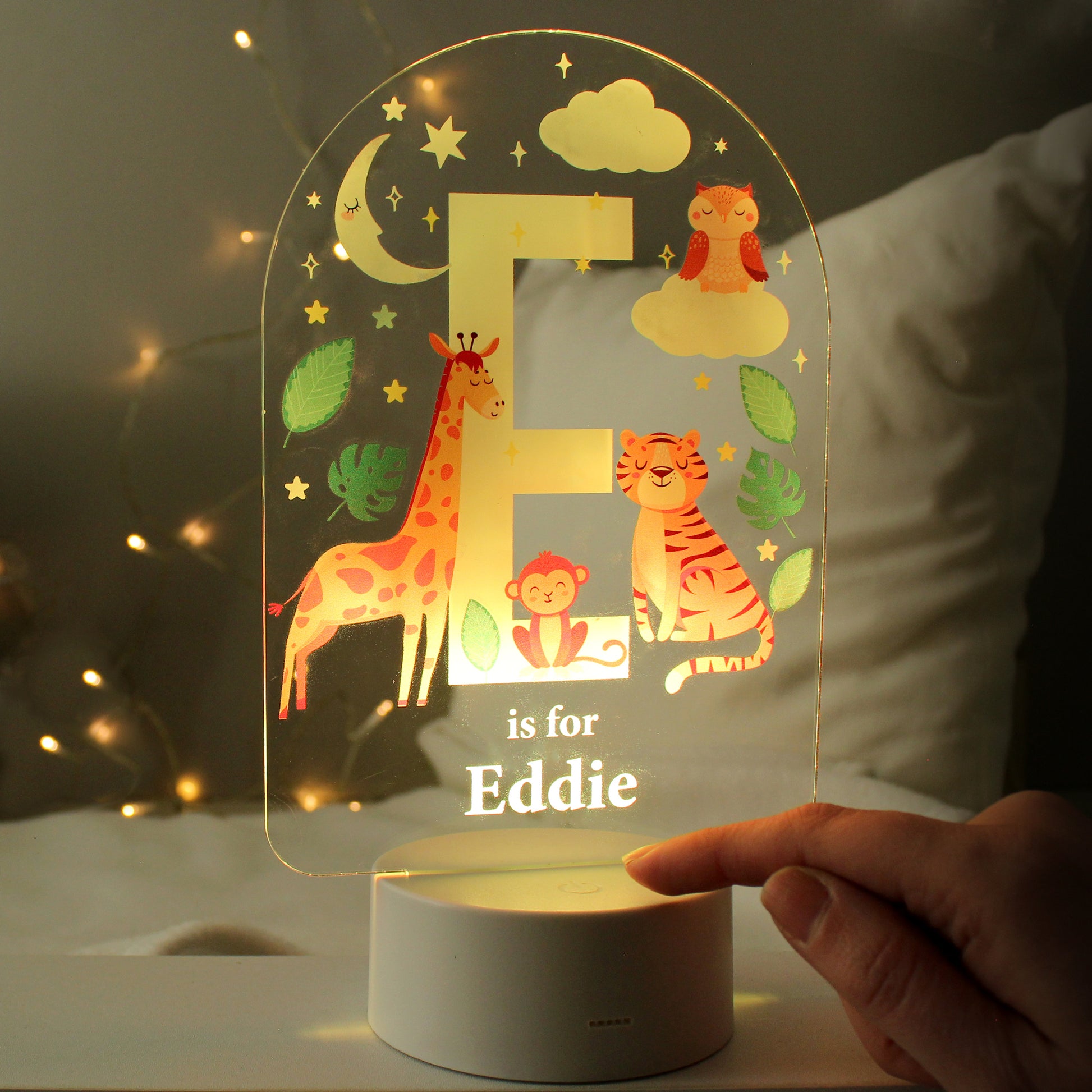 Personalised Animal Alphabet LED Colour Changing Night Light image 0